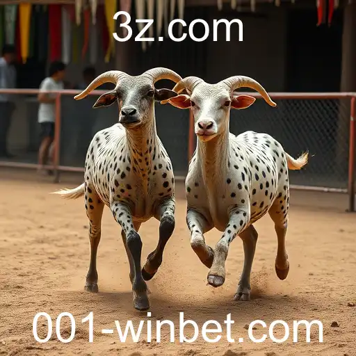 Jogos de Sabong: Uma Tradição Milenar e a Aposta 001 Win Bet